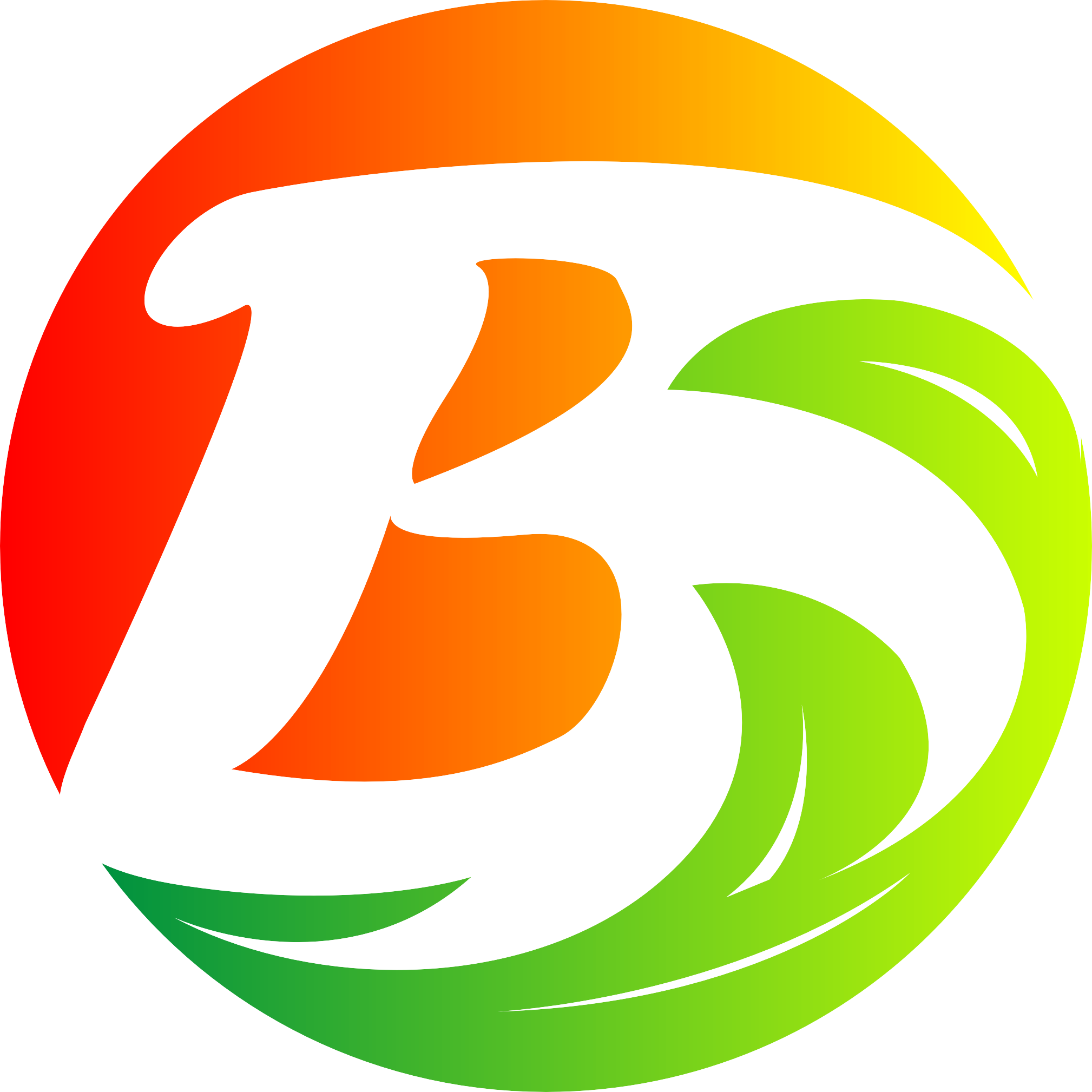 广东柏百顺科技有限公司